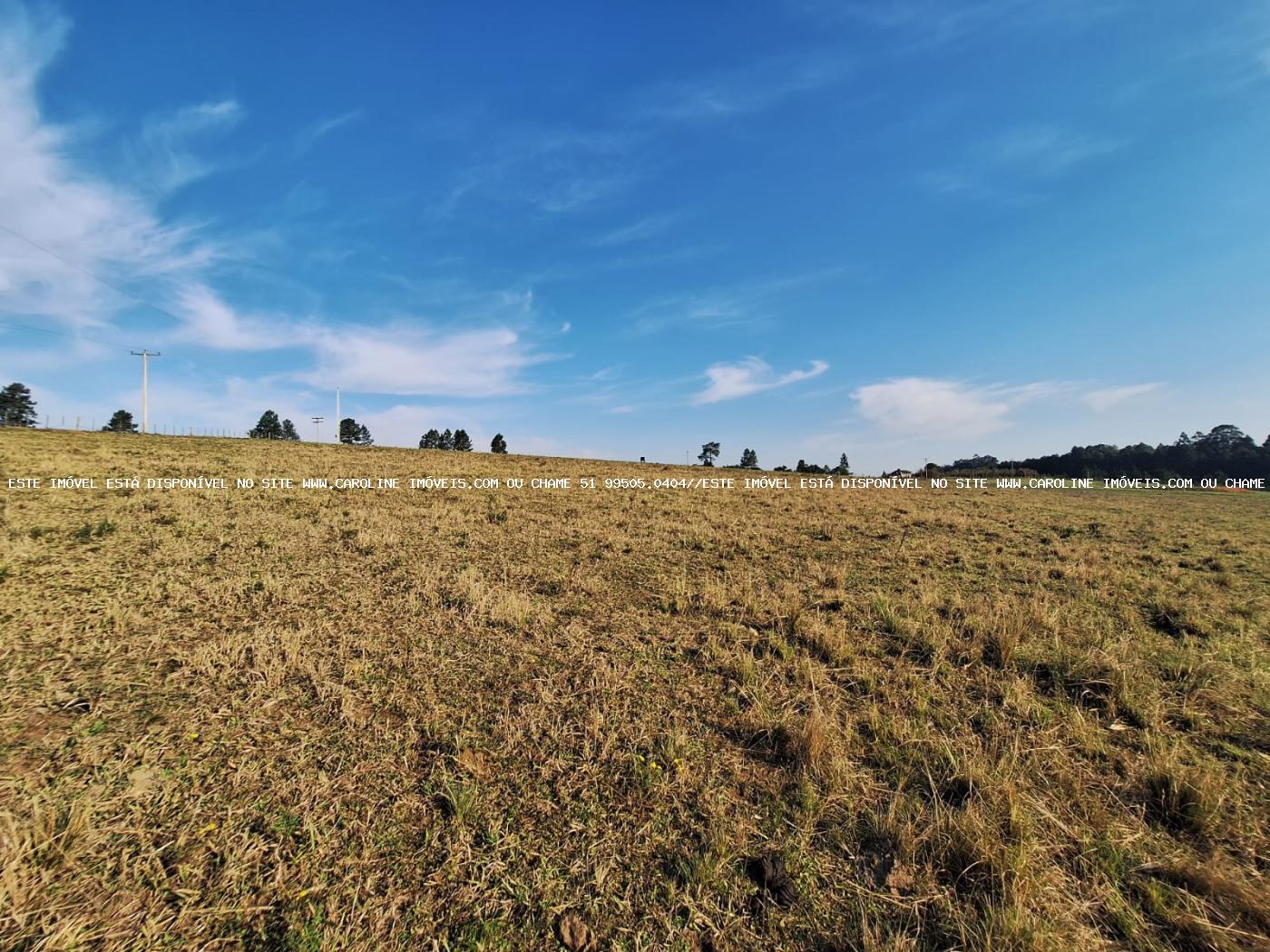 Sítio à venda, 80000m² - Foto 36