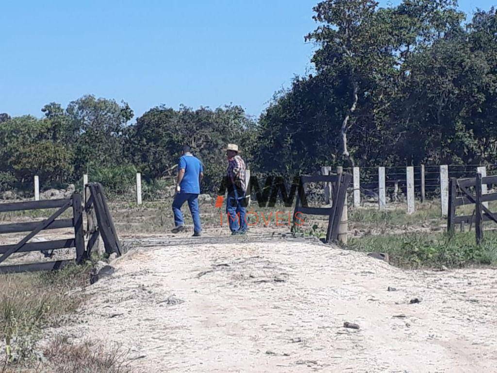 Fazenda à venda, 31060000M2 - Foto 14