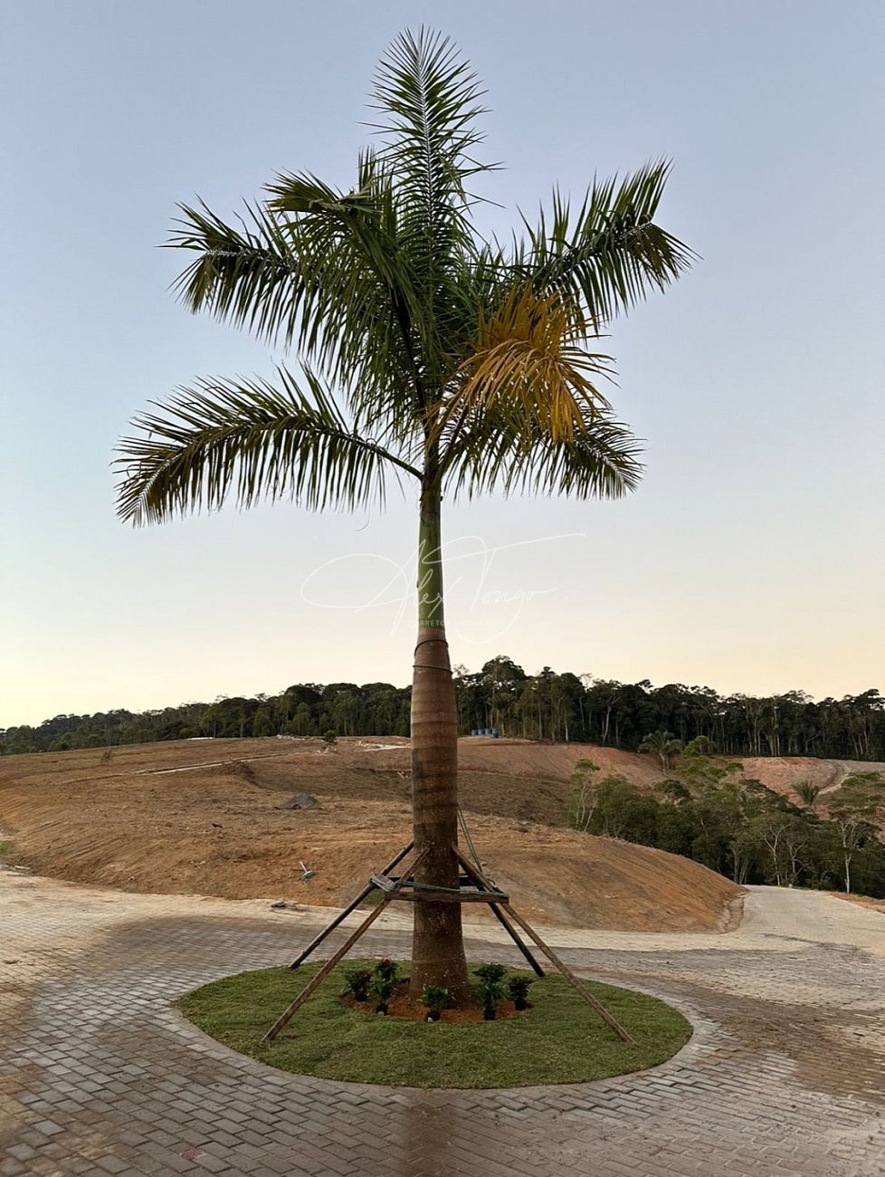 Fazenda à venda, 10000m² - Foto 16