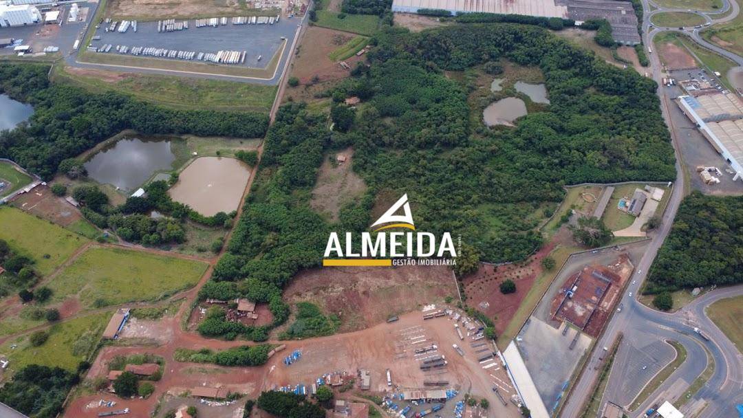 Terreno, 4 hectares - Foto 3