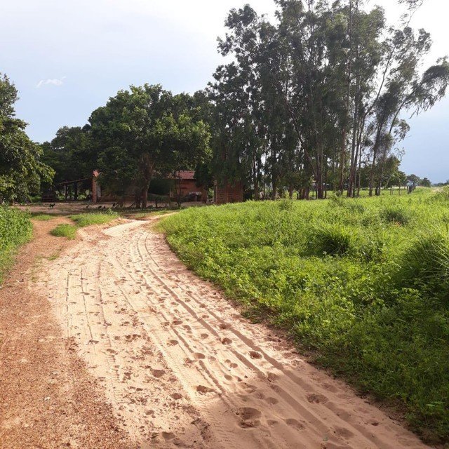 Fazenda à venda, 310000m² - Foto 5