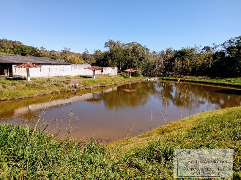 Fazenda à venda com 4 quartos, 11m² - Foto 19