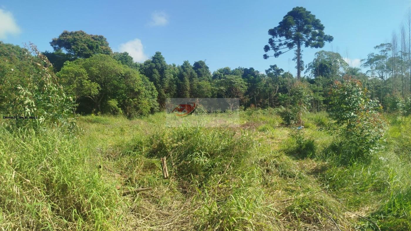Terreno à venda, 5000m² - Foto 9