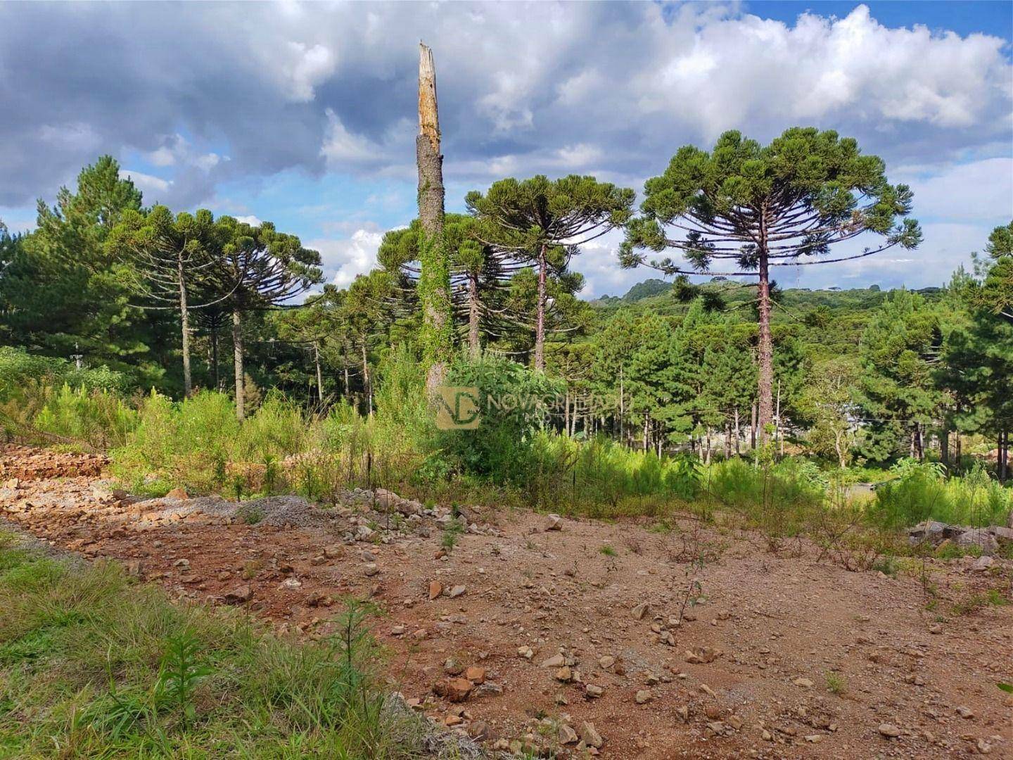 Terreno à venda, 450M2 - Foto 1