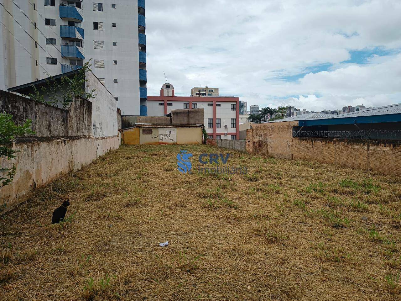 Terreno à venda, 575M2 - Foto 3