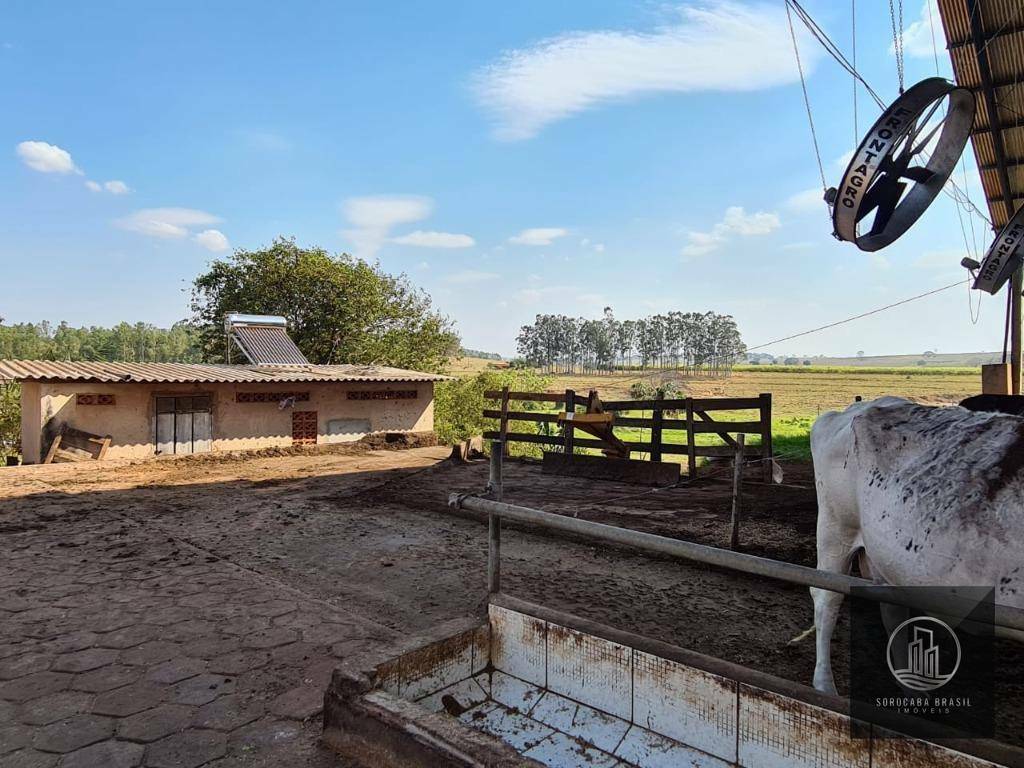 Fazenda à venda, 750200M2 - Foto 16