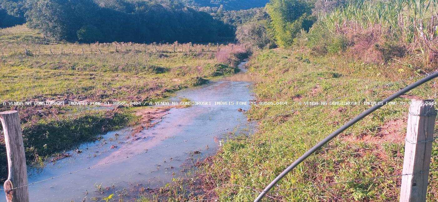 Fazenda-Sítio-Chácara, 6 hectares - Foto 10