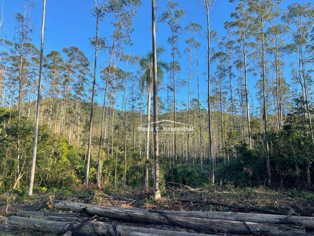 Terreno, 30 hectares - Foto 16