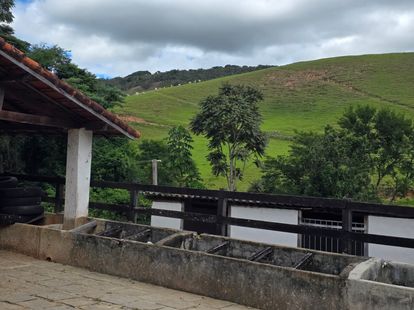 Fazenda à venda com 6 quartos, 183m² - Foto 31