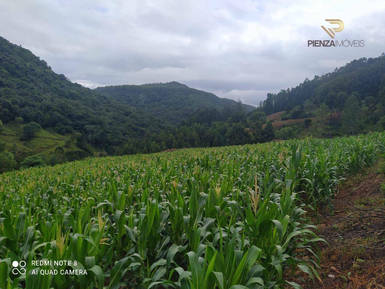 Terreno à venda, 169000M2 - Foto 27