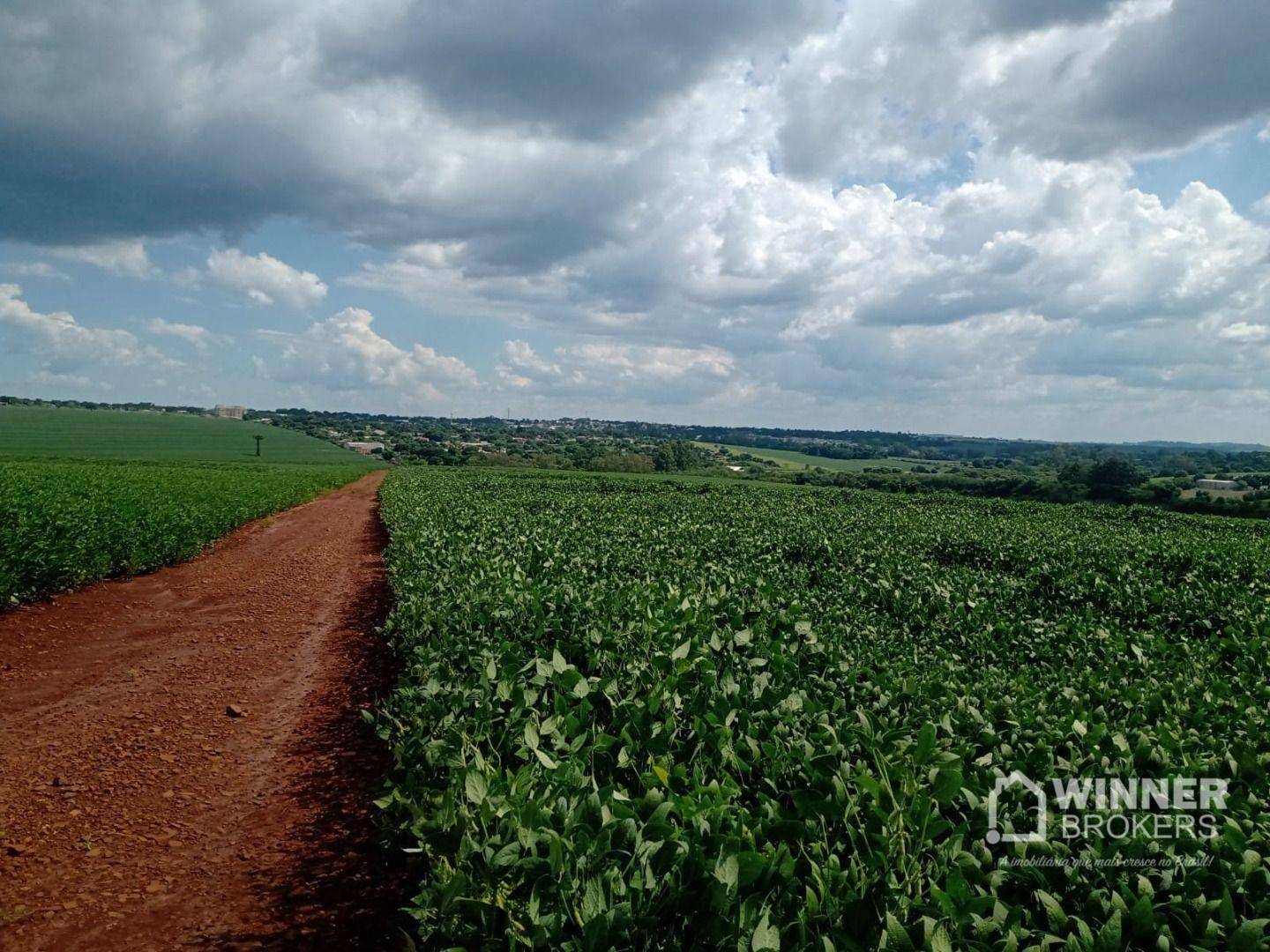 Terreno, 10 hectares - Foto 5