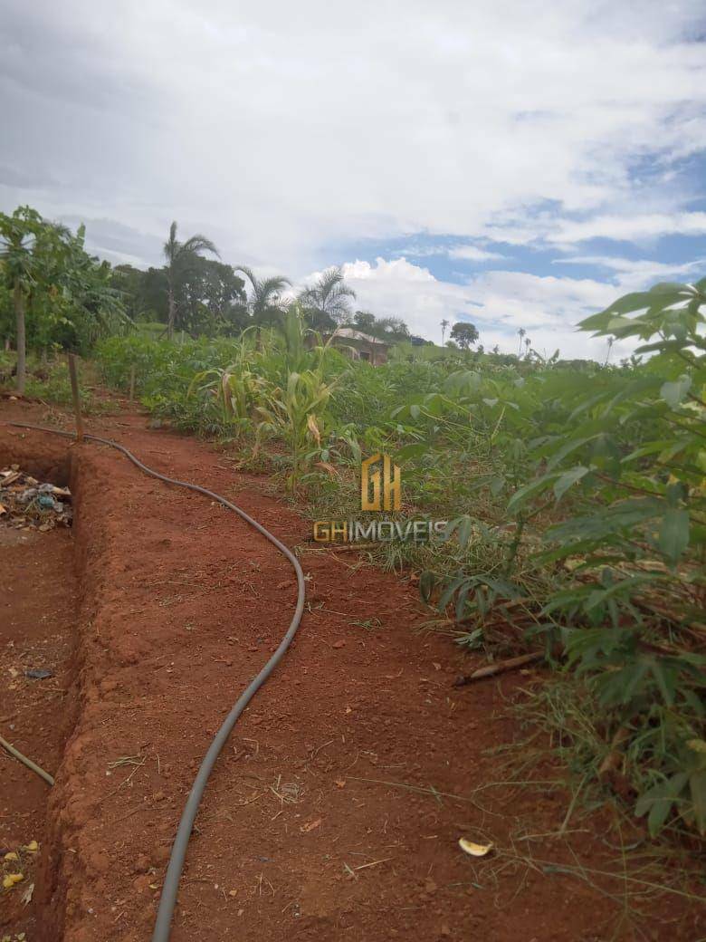 Chácara à venda com 3 quartos, 300m² - Foto 8