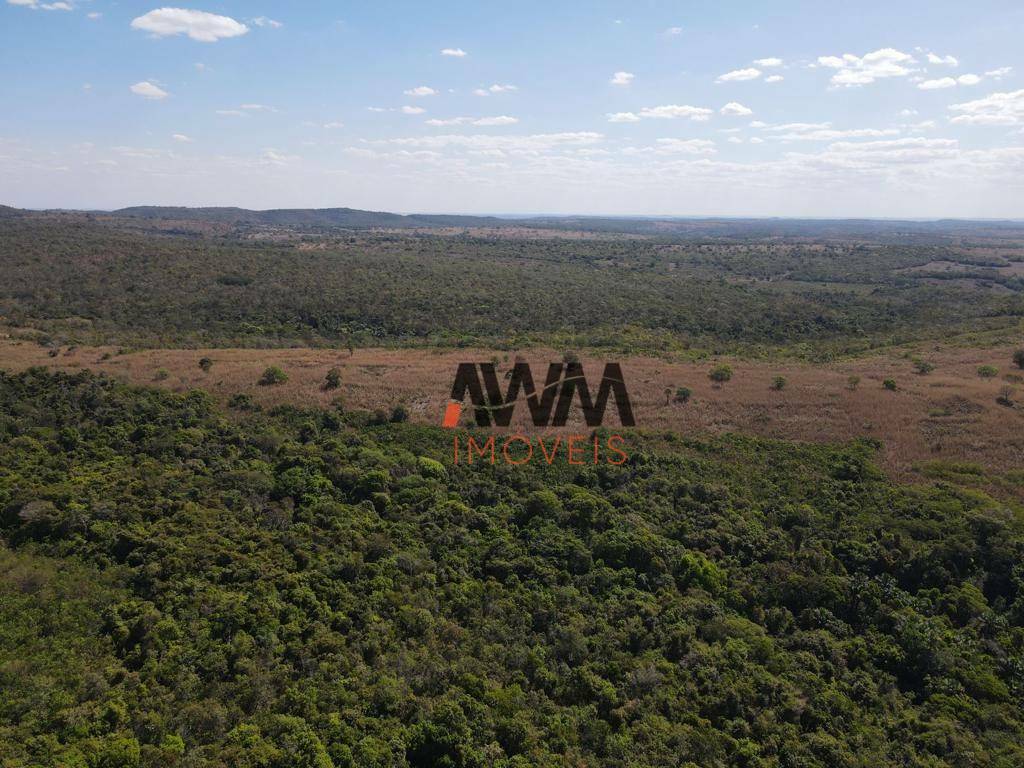 Fazenda-Sítio-Chácara, 707 hectares - Foto 18