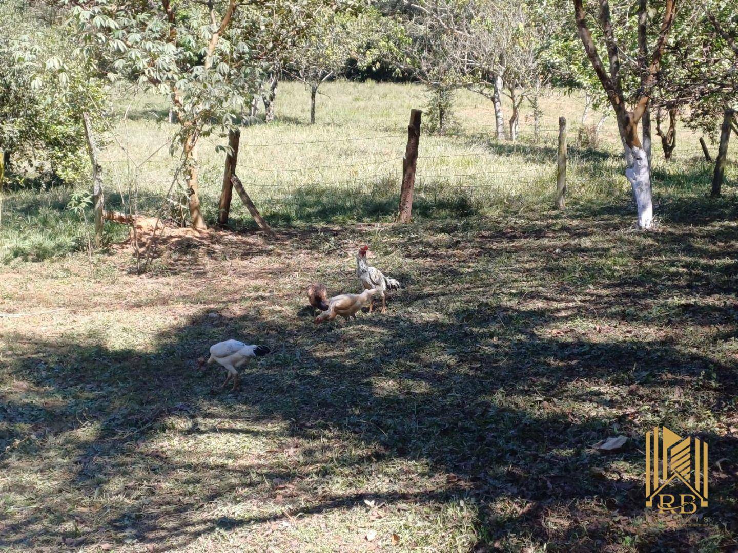Chácara à venda com 2 quartos, 10500M2 - Foto 16