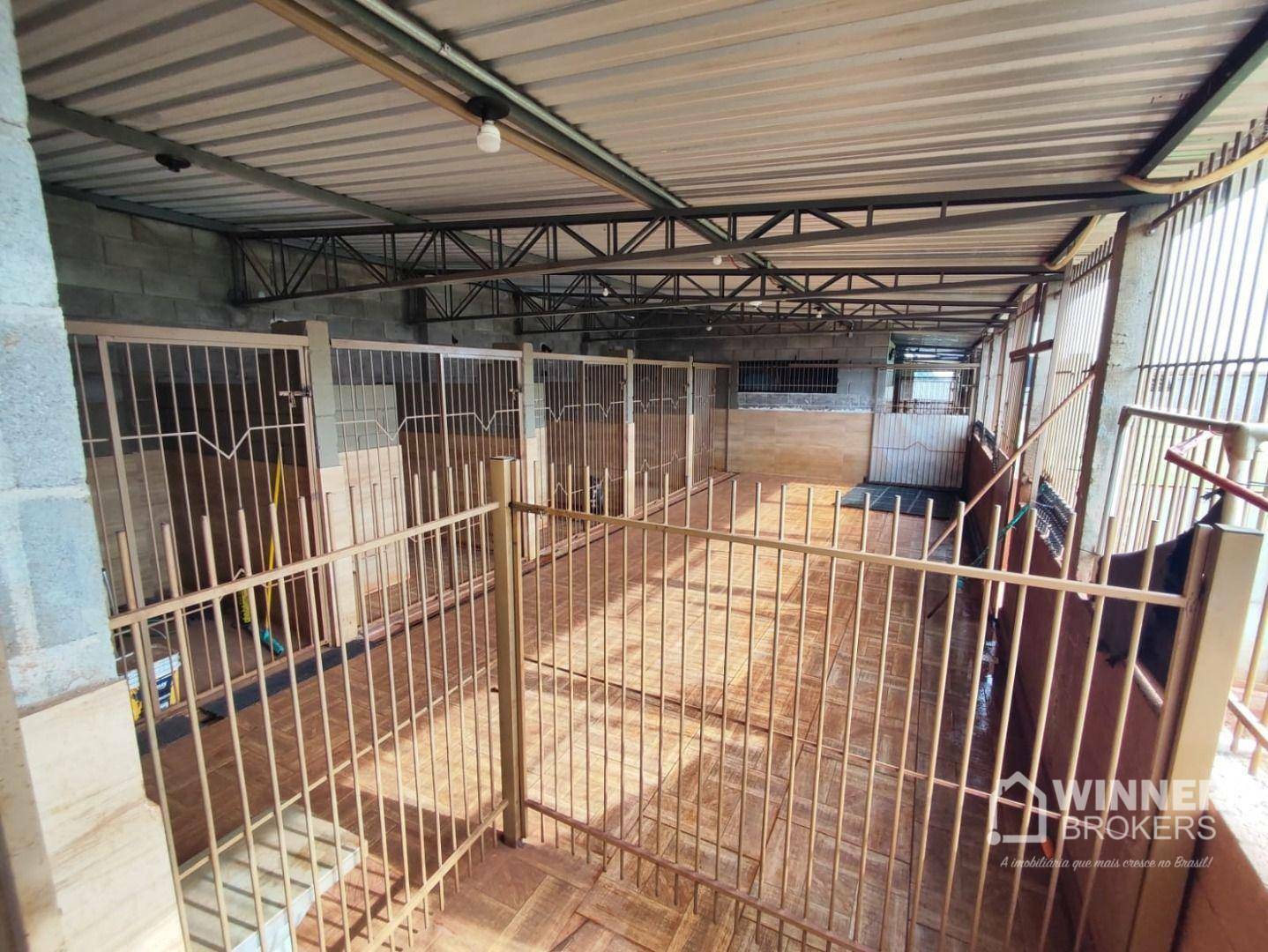 Chácara à venda com 4 quartos, 666m² - Foto 22