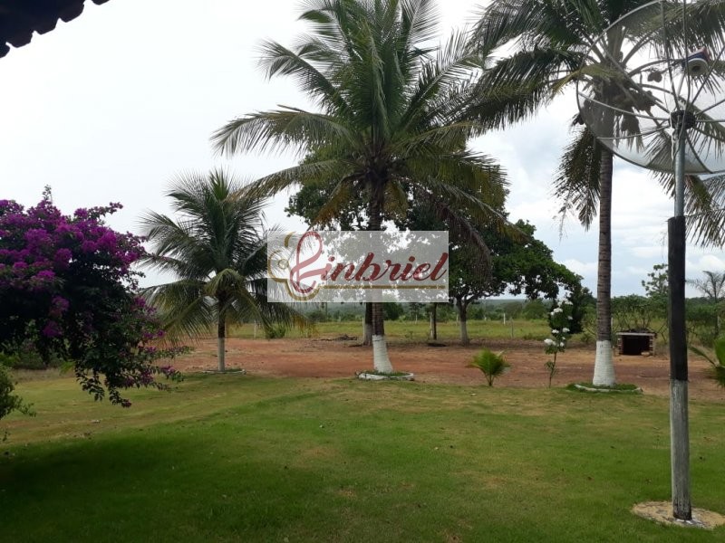 Fazenda à venda, 11000000m² - Foto 15