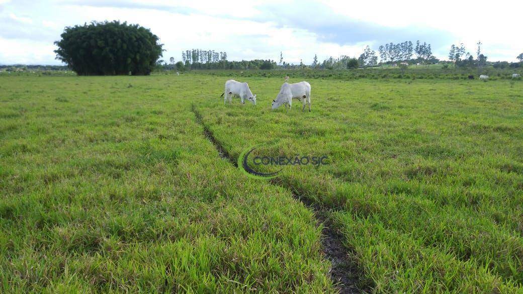 Fazenda à venda com 3 quartos, 2970000M2 - Foto 26