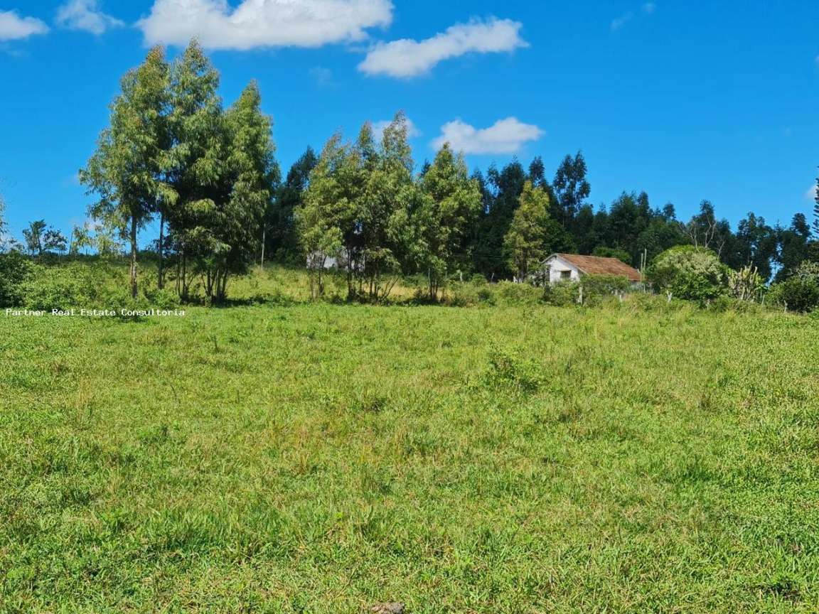 Fazenda à venda com 3 quartos, 52m² - Foto 20
