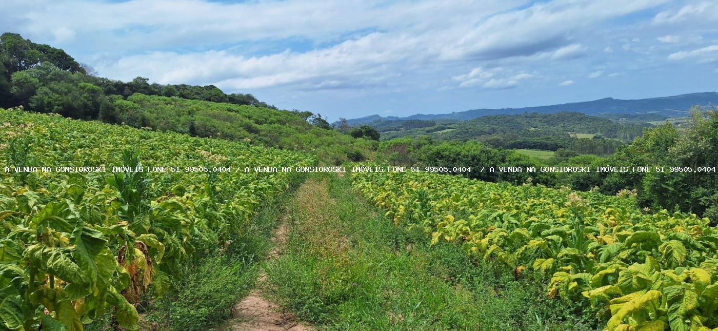 Loteamento e Condomínio à venda, 125000m² - Foto 21