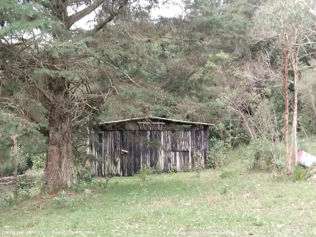 Fazenda à venda com 4 quartos, 160000m² - Foto 7