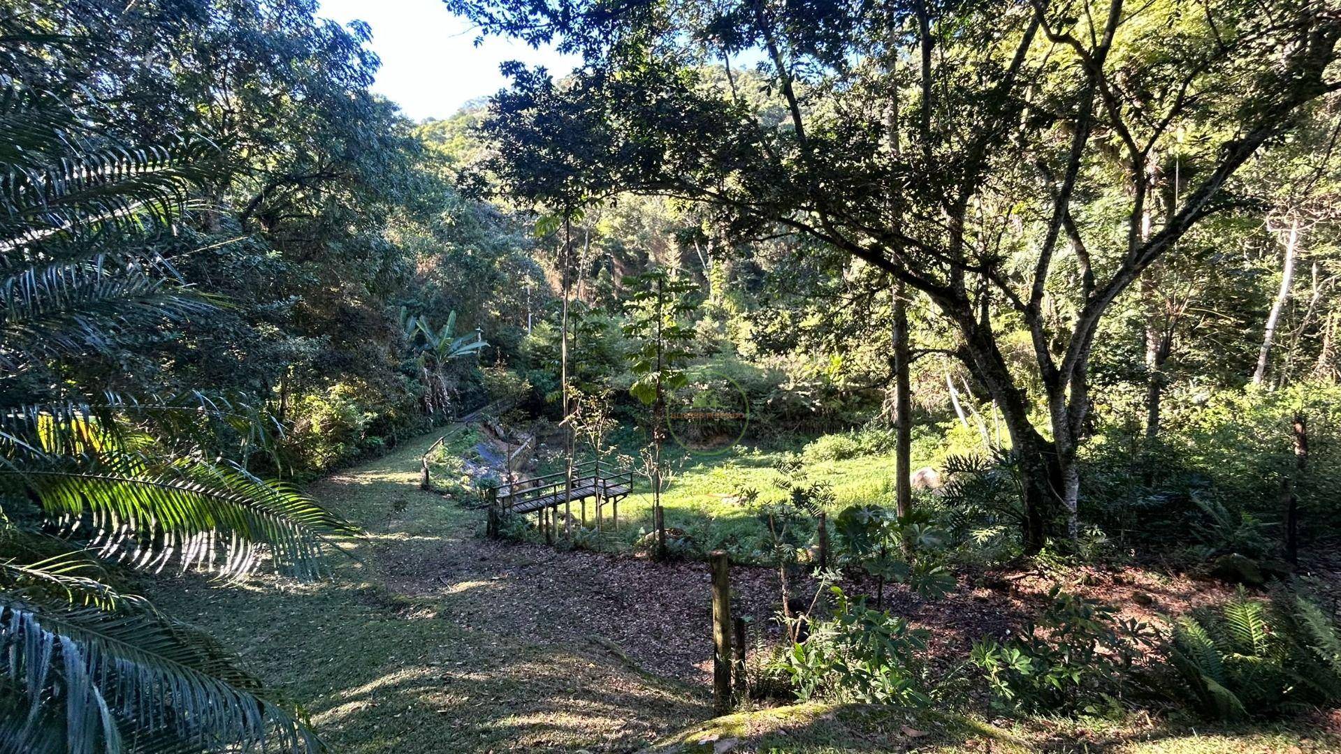 Sítio, 14 hectares - Foto 13