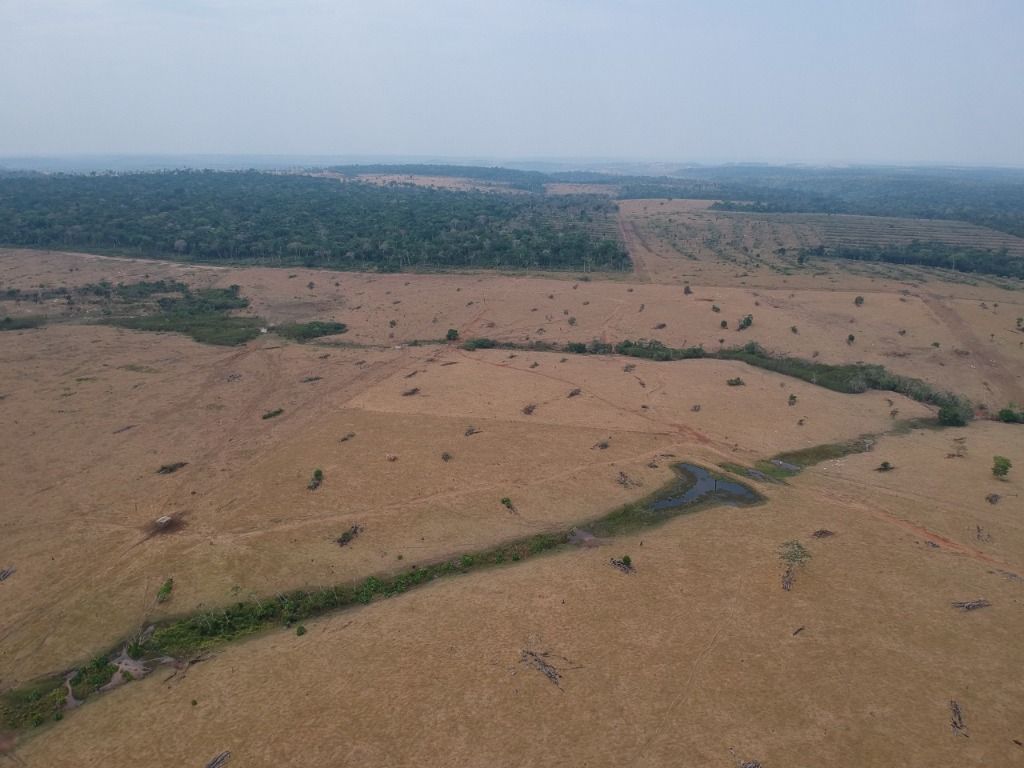 Fazenda à venda, 41140000M2 - Foto 13