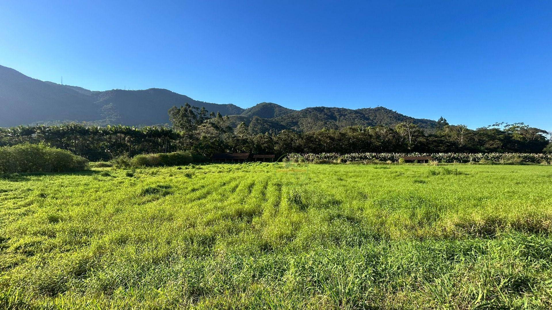 Sítio, 19 hectares - Foto 32