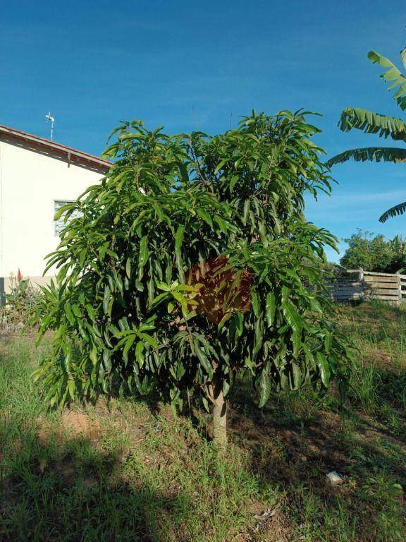 Sítio, 10 hectares - Foto 103