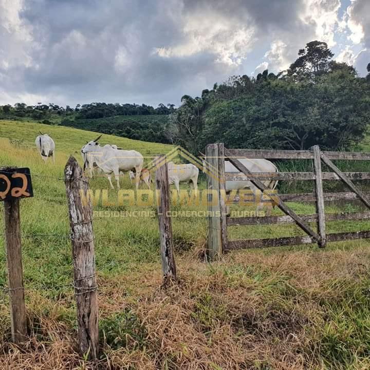 Fazenda à venda, 956m² - Foto 12