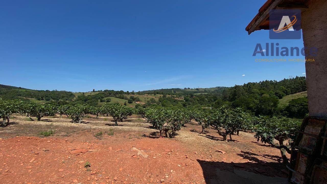 Sítio, 6 hectares - Foto 23