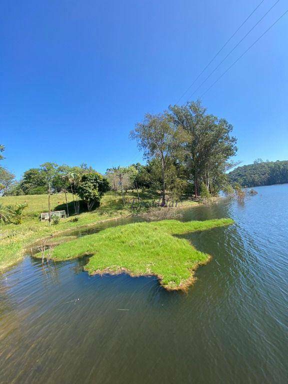 Fazenda à venda com 5 quartos, 290400M2 - Foto 4