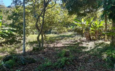 Fazenda à venda com 2 quartos, 60000m² - Foto 6