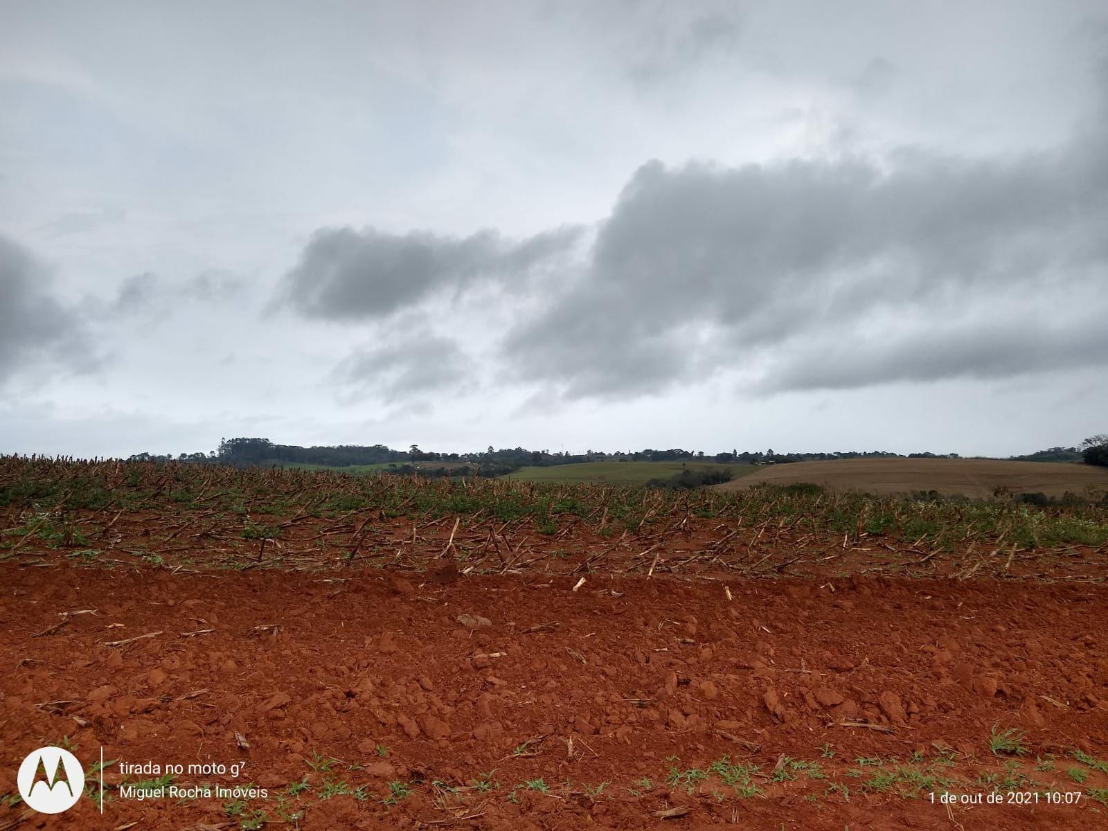 Fazenda à venda com 8 quartos, 3146000m² - Foto 6