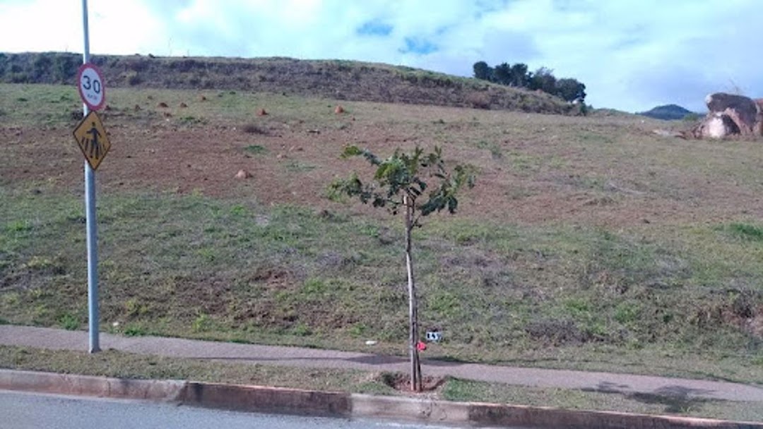 Loteamento e Condomínio à venda, 738M2 - Foto 6