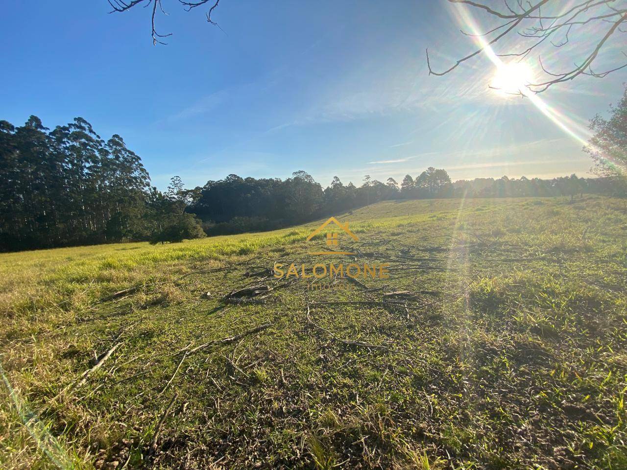 Sítio, 13 hectares - Foto 17