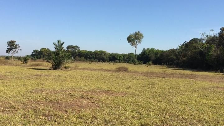 Fazenda-Sítio-Chácara, 1123 hectares - Foto 4