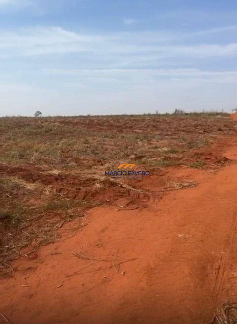 Fazenda, 123 hectares - Foto 5