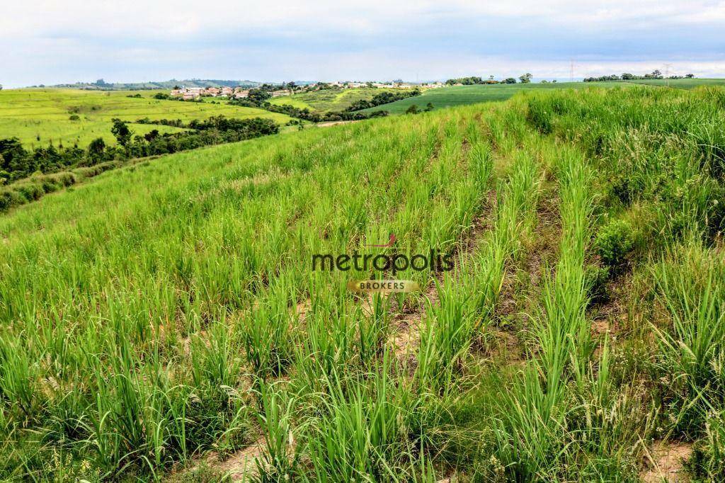 Terreno à venda, 124520M2 - Foto 19