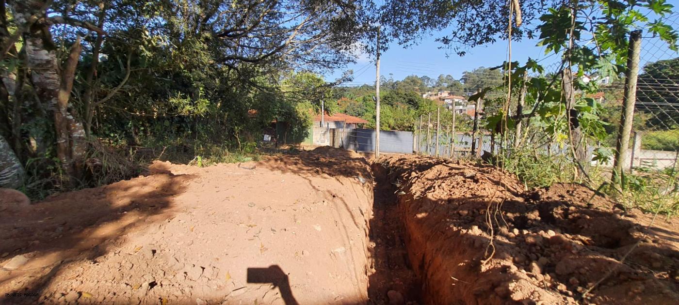 Terreno à venda, 250m² - Foto 4