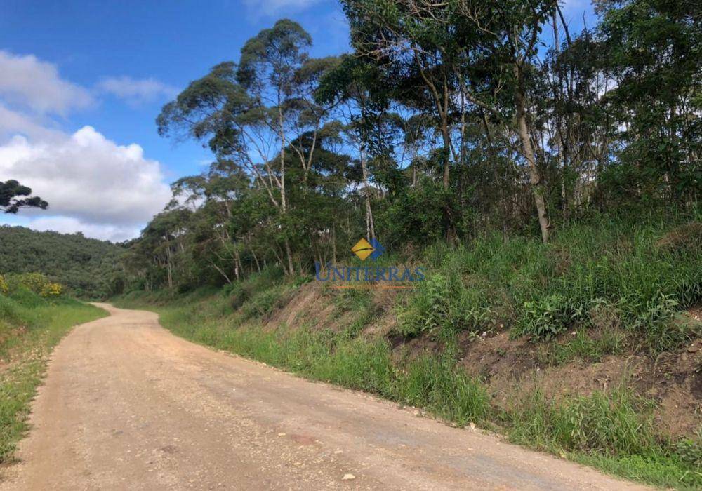 Terreno à venda - Foto 1