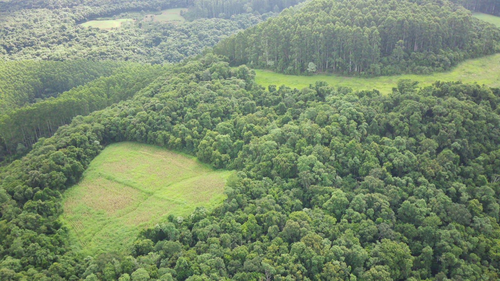 Loteamento e Condomínio à venda, 193600m² - Foto 11