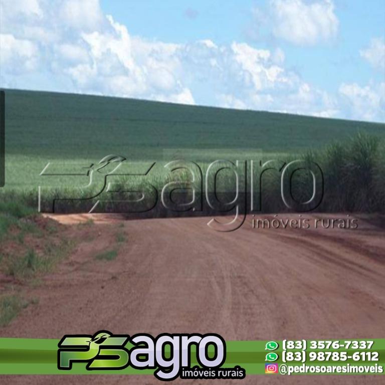 Fazenda-Sítio-Chácara, 3335 hectares - Foto 1