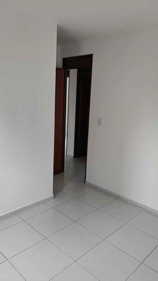 Apartamento à venda com 3 quartos, 81m² - Foto 37