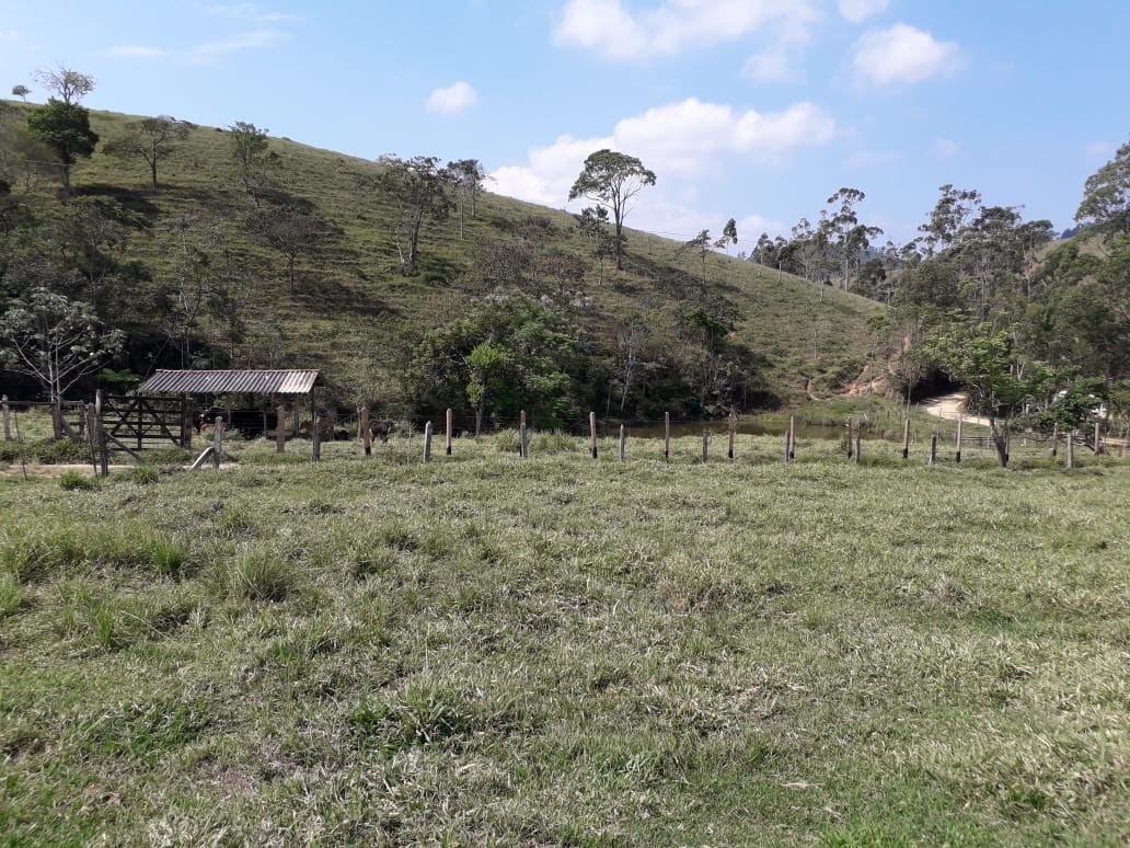 Terreno, 19 hectares - Foto 16