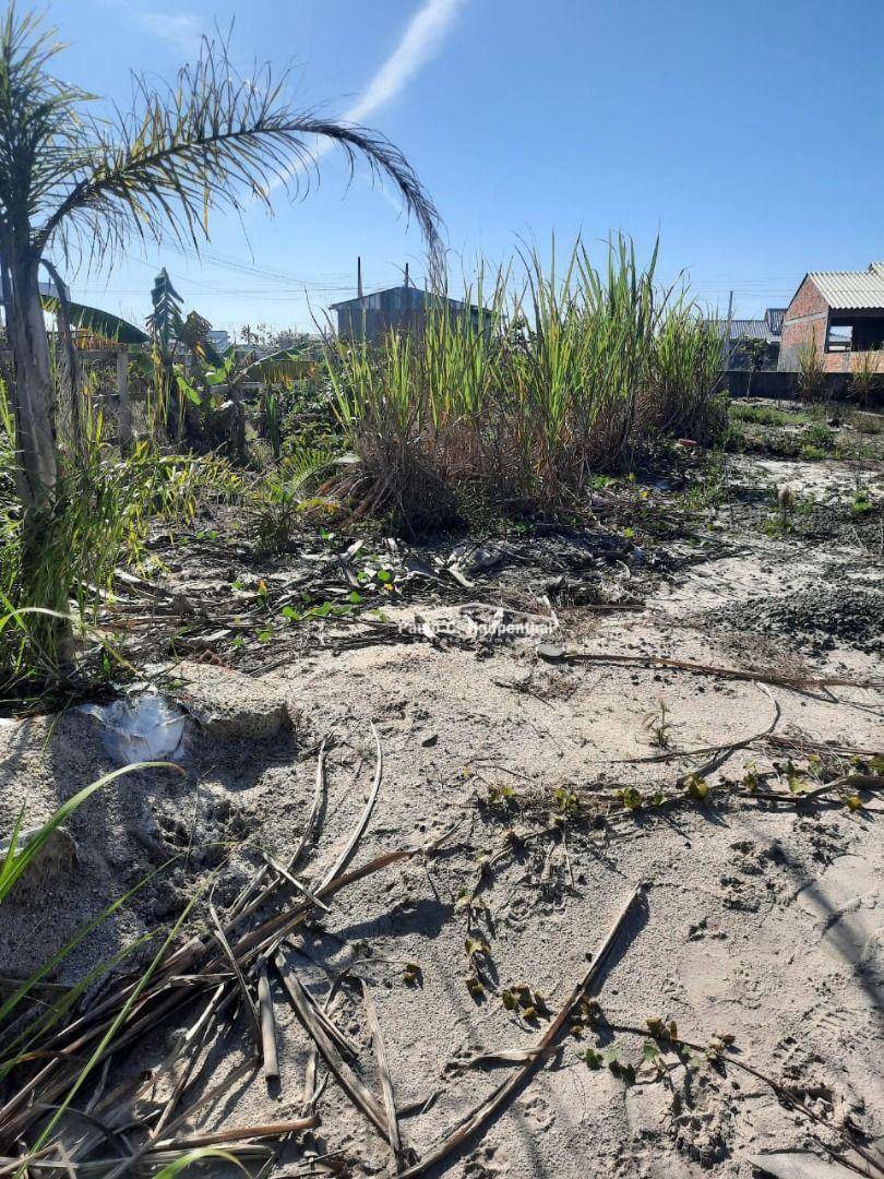 Terreno à venda, 300M2 - Foto 2