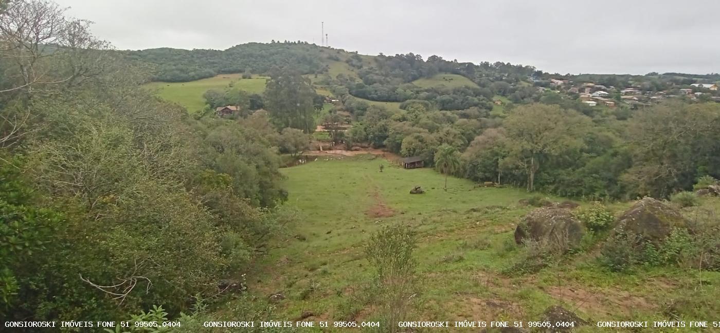 Fazenda à venda com 1 quarto, 18000m² - Foto 3