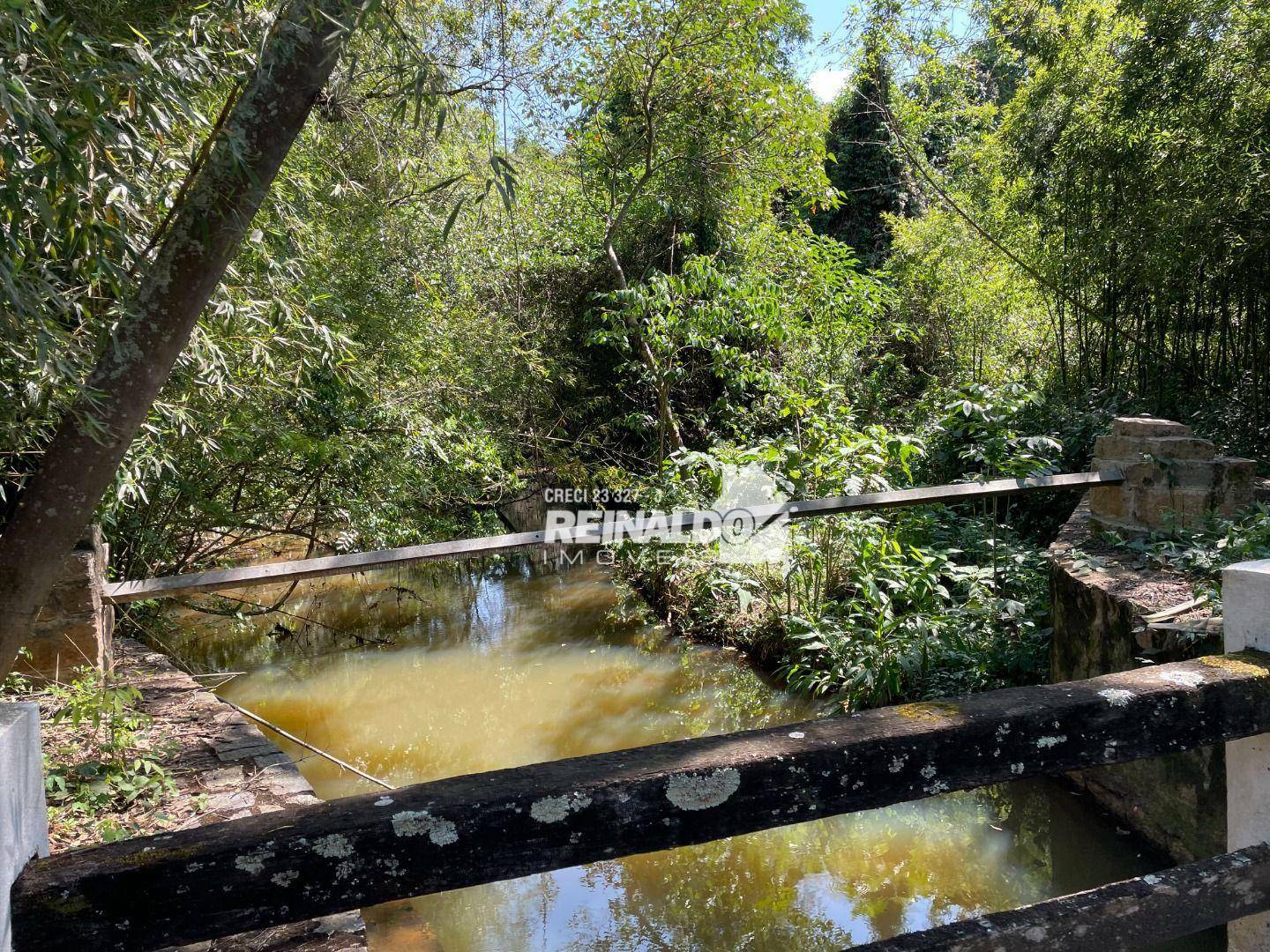 Haras e Área Rural Padrão à venda com 16 quartos, 2500m² - Foto 13