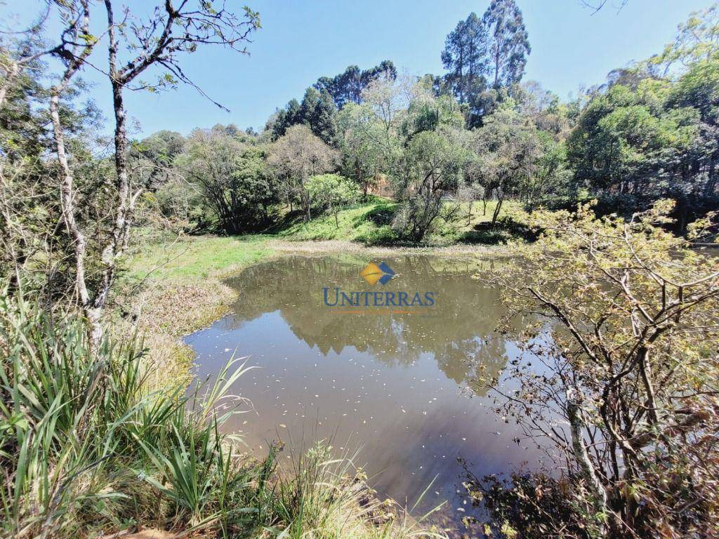 Chácara, 1 quarto, 3 hectares - Foto 5