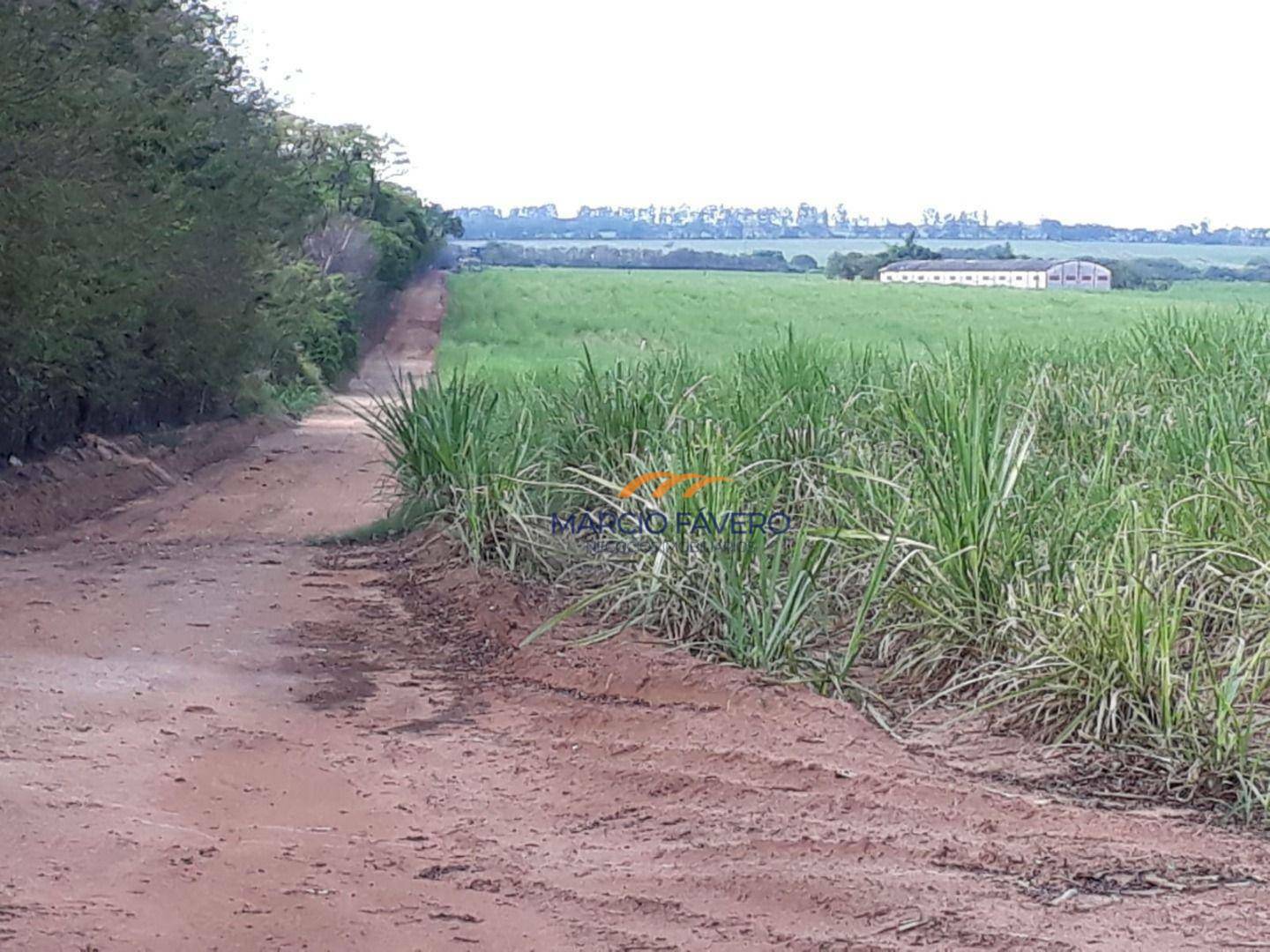 Fazenda à venda, 2918520M2 - Foto 7