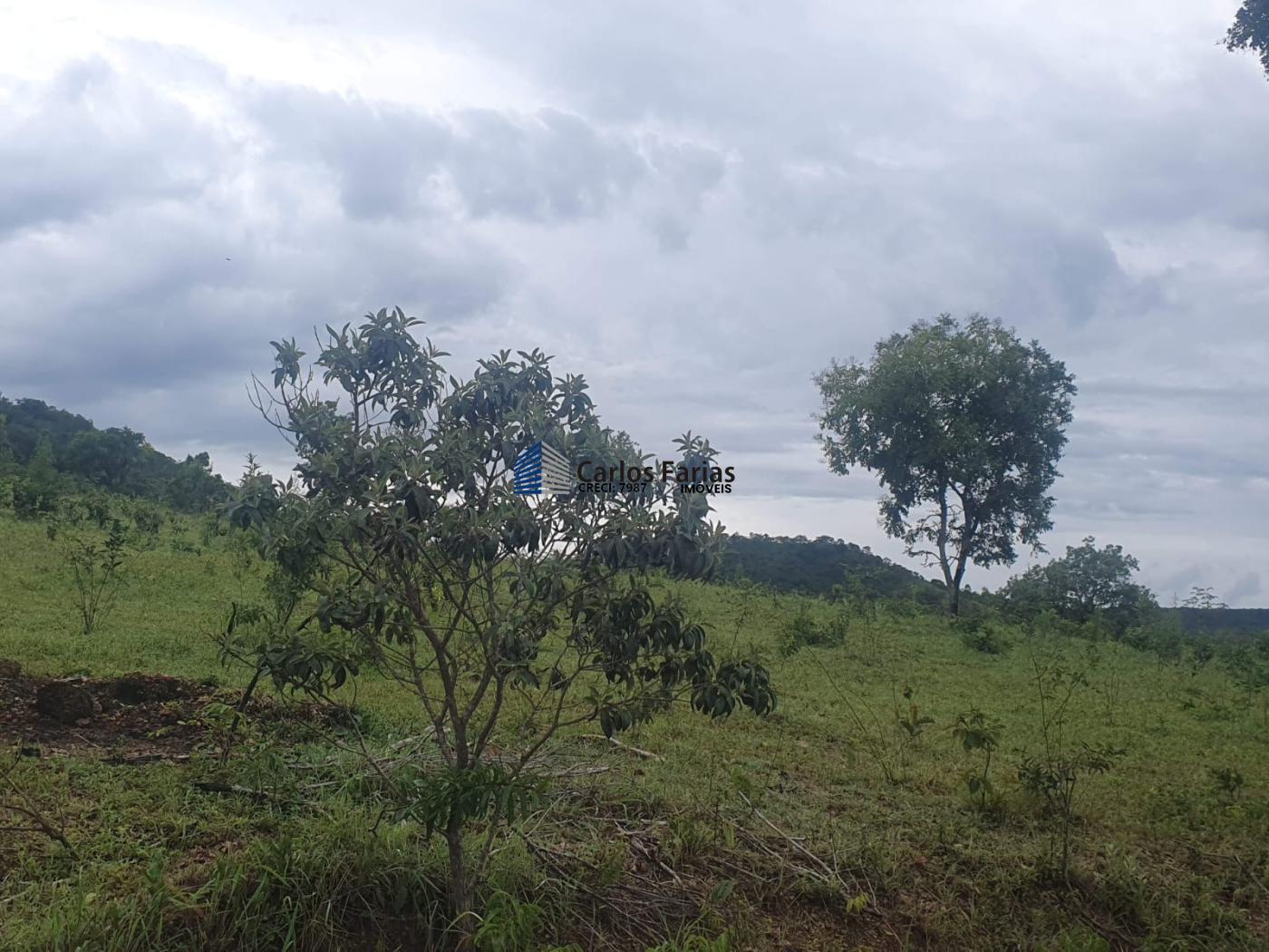 Fazenda à venda com 4 quartos, 300m² - Foto 31
